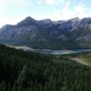 Meet your Posher, Stanford